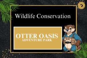 Read more about the article Wildlife Conservation at Otter Oasis