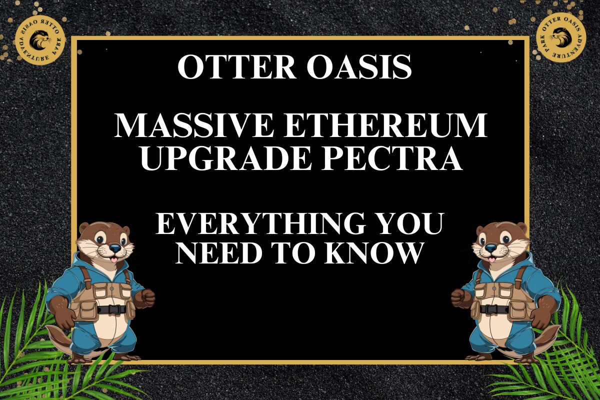 Read more about the article Massive Ethereum Upgrade Pectra: Everything You Need to Know