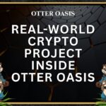 Real-World Crypto Project: Inside Otter Oasis