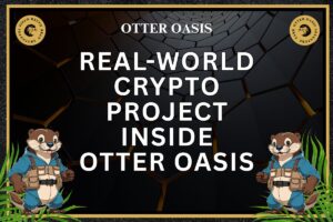 Read more about the article Real-World Crypto Project: Inside Otter Oasis
