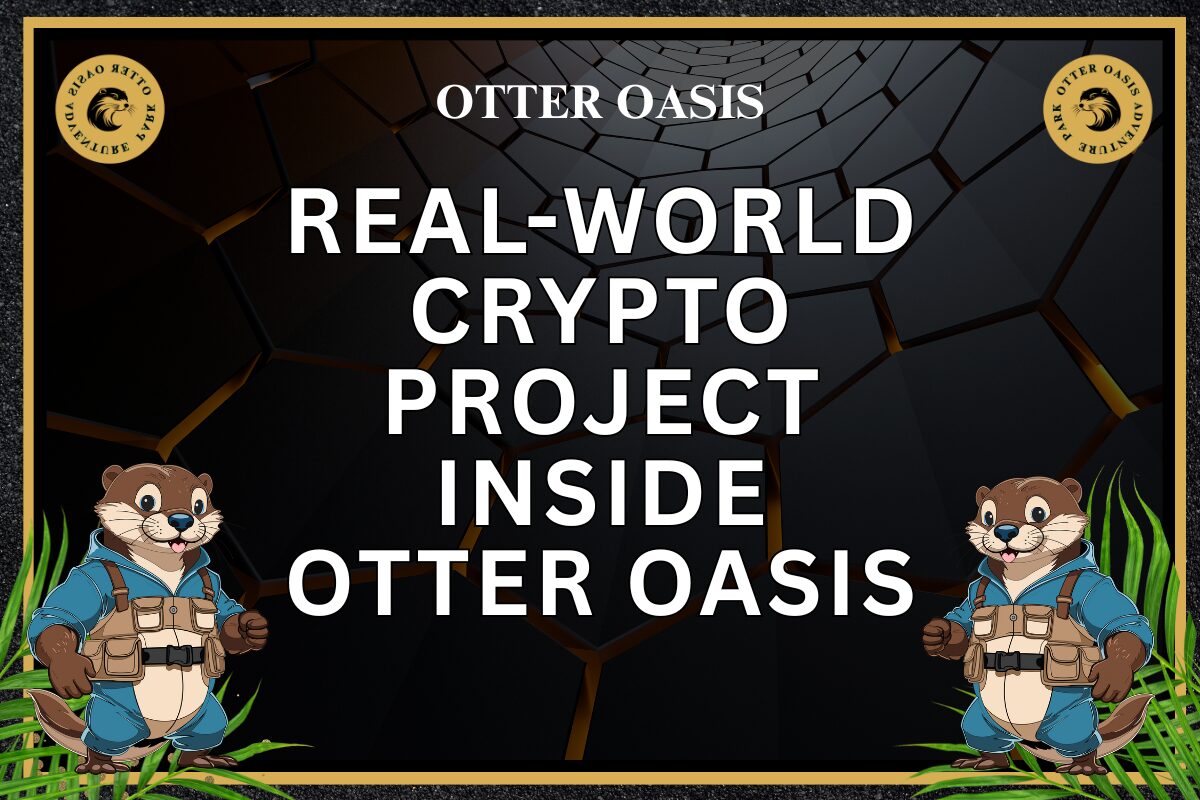 You are currently viewing Real-World Crypto Project: Inside Otter Oasis