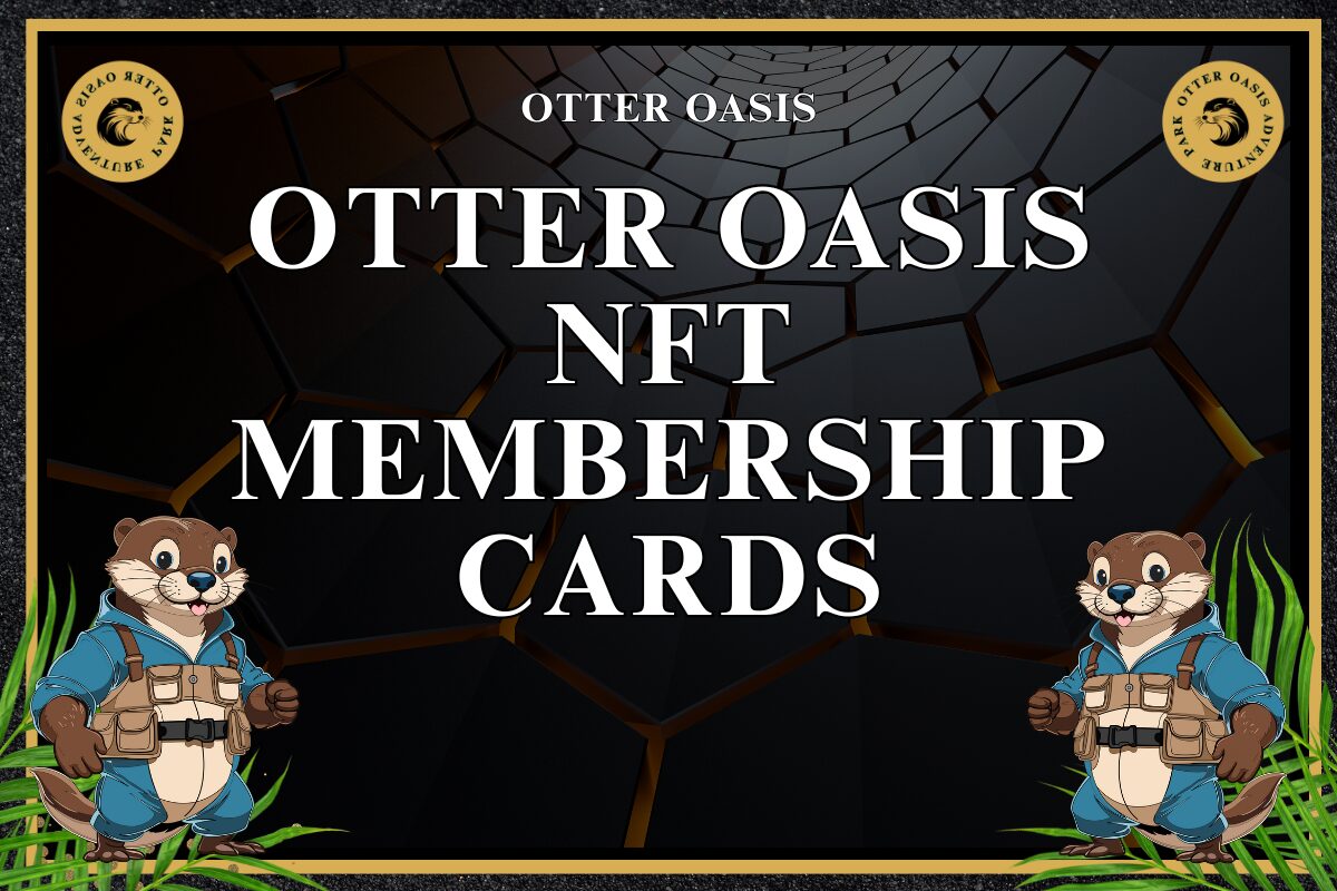 You are currently viewing Oasis NFT Membership Cards