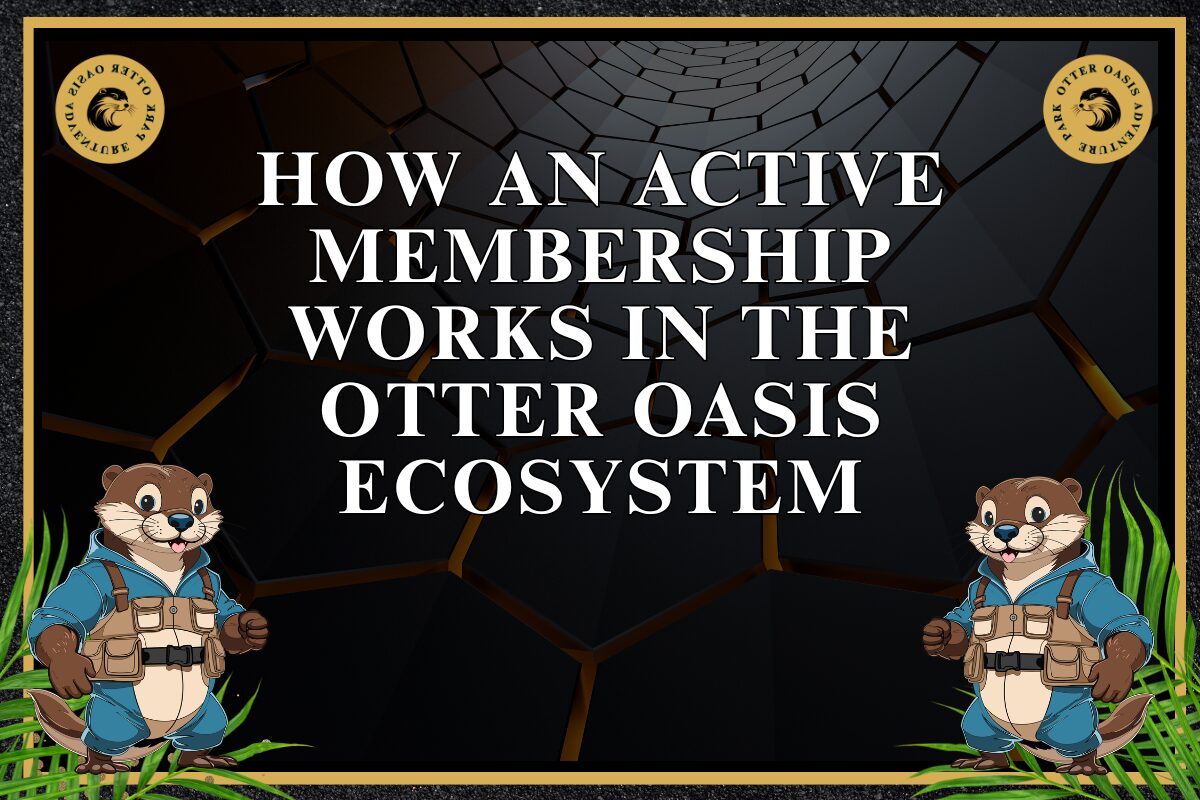 You are currently viewing How An Active Membership Works In The Otter Oasis Ecosystem
